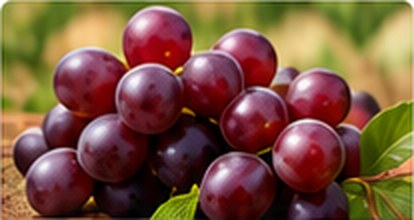 Racimo de uvas